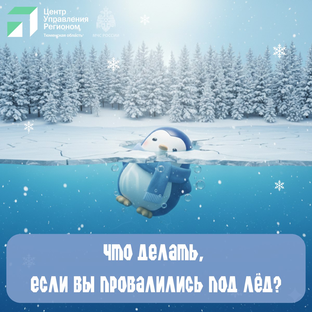 Водоёмы уже застыли, а это значит — пора вспомнить о безопасности