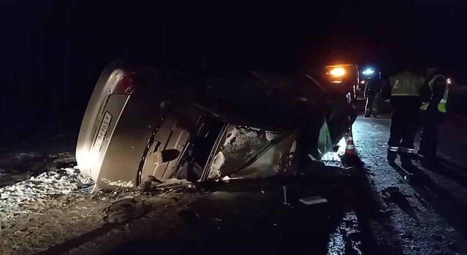 �� 206-� ��������� ����������� ���������� ������ - �����-�������� ����� ������� ����������� "����� �����" � "������ �����"