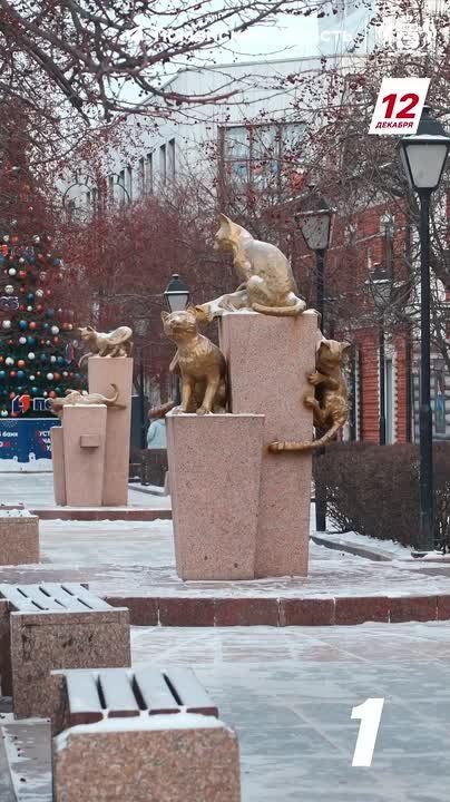 ��� �������� ����� �� ����������?