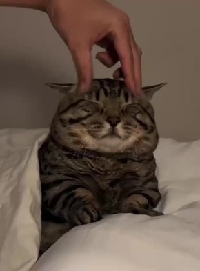 Доброе утро воскресенья - оно такое