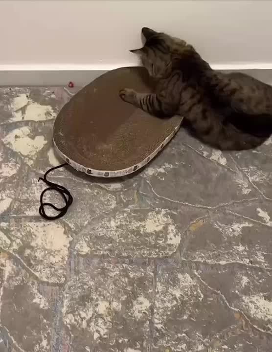 ����� ����� �� �����, �� ������ ���������