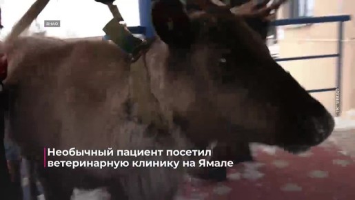 ���������� �������� ������� ���������� � ������������ ������� � � ��� �� ������ ������ �������� �����