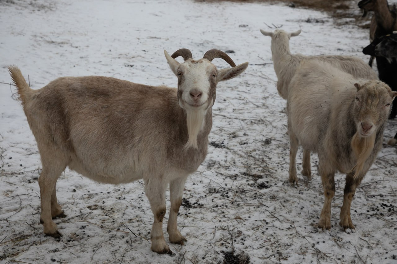 Его новая служба началась на земле Его новая служба началась на земле