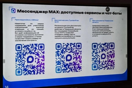 Три чат-бота запустили в приложении Max для жителей Тюменской области 15 декабря