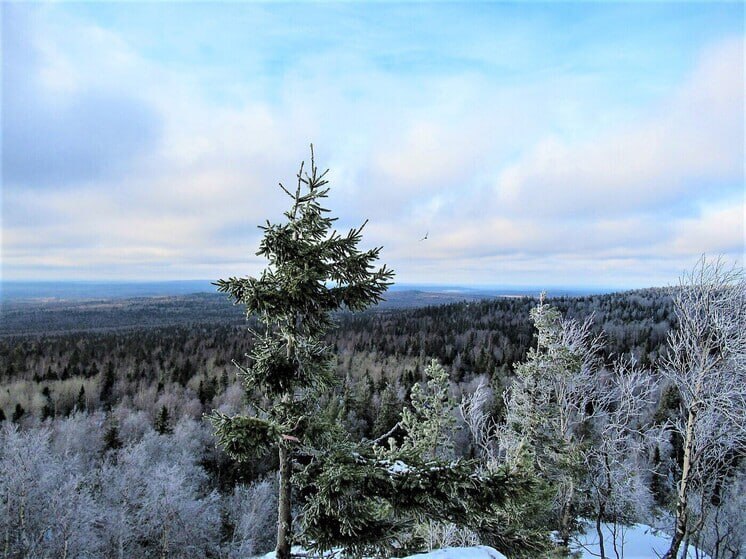 В Пермском крае ищут 13 заблудившихся на снегоходах туристов