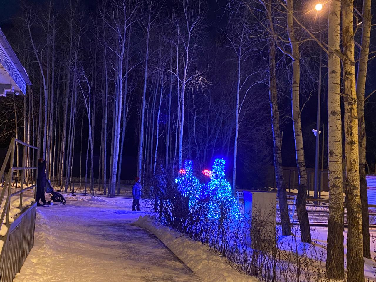 Затюменский экопарк к Новому году готов Затюменский экопарк к Новому году готов