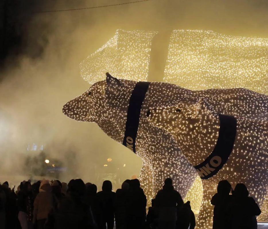 ����������������� ����������� ��������� � ������ � ���������� � �������������� ���������