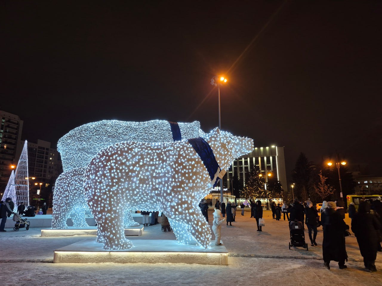 Тюменские волшебники: семья северных медведей Тюменские волшебники: семья северных медведей