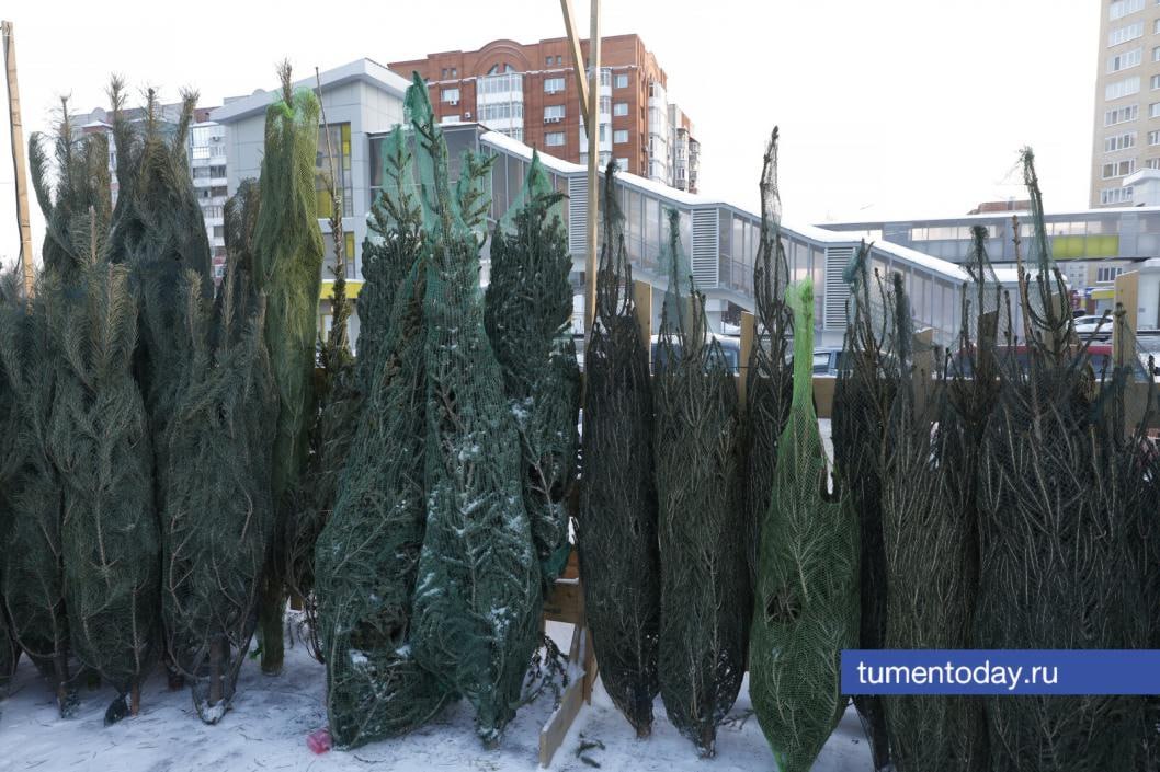 Главное на сегодня, 16 декабря: