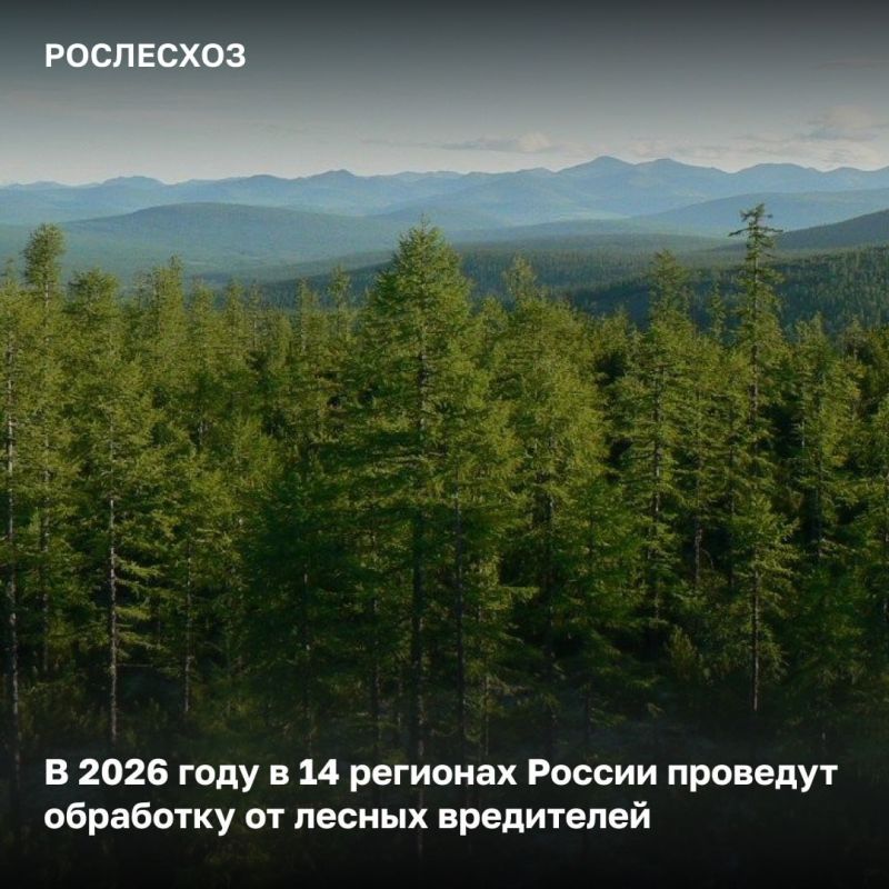 � ������ ���������������� ������������������� ����������� �������������, ���������������� ����������� ����������, ������������ ������ ������ ��������, �� ������� ������������� ���������� ����������� �� ���������� ������...