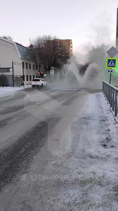 �� �����������: ������ �� ����������� ����������-����������