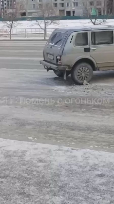 � ������ ������������� ������ ��������� ����������� � ���������