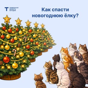 Кот или ёлка: как уберечь и то, и другое