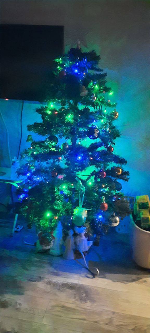 От мала до велика: тюменцы поделились елочками, которые уже стоят украшенные в ожидании праздника От мала до велика: тюменцы поделились елочками, которые уже стоят украшенные в ожидании праздника