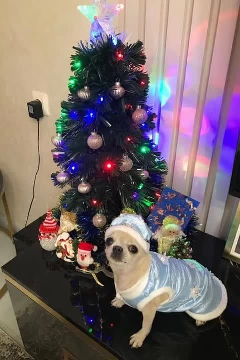 ������� ������ �� 18 �������