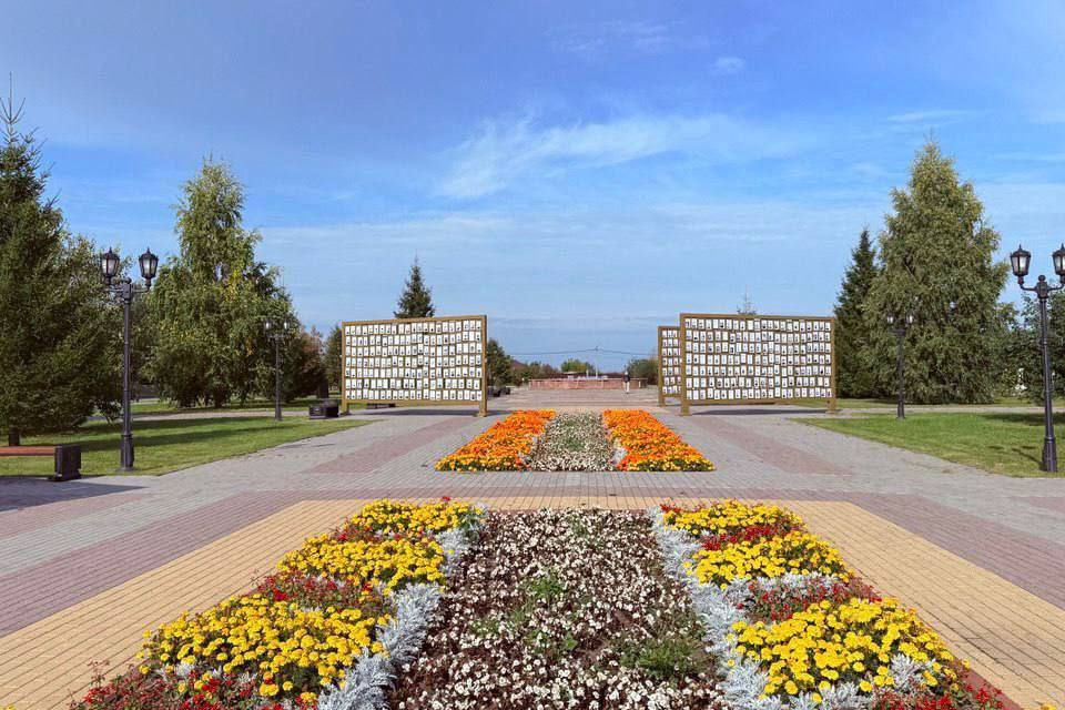 Тобольск ждет масштабное озеленение в 2026 году Тобольск ждет масштабное озеленение в 2026 году