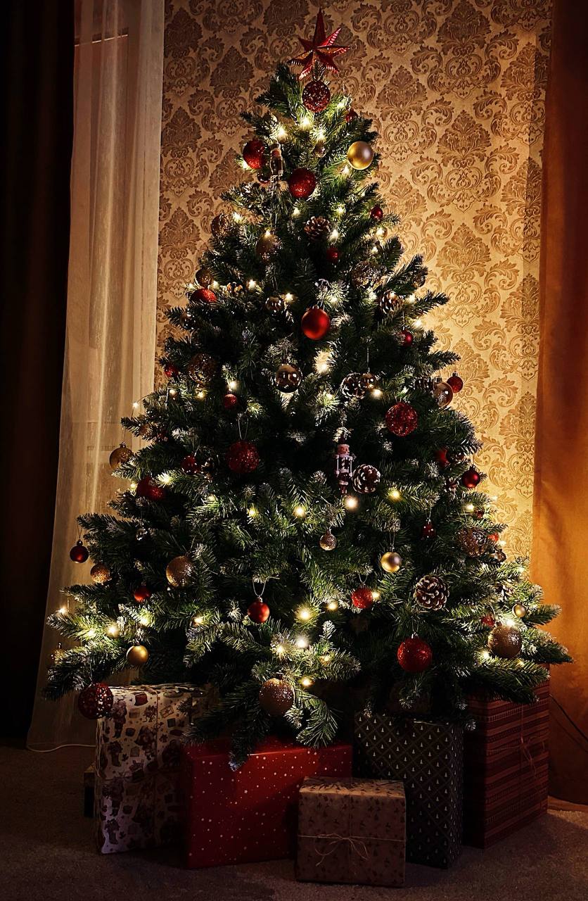 От мала до велика: тюменцы поделились елочками, которые уже стоят украшенные в ожидании праздника От мала до велика: тюменцы поделились елочками, которые уже стоят украшенные в ожидании праздника