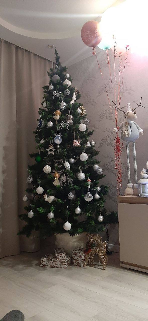 От мала до велика: тюменцы поделились елочками, которые уже стоят украшенные в ожидании праздника От мала до велика: тюменцы поделились елочками, которые уже стоят украшенные в ожидании праздника