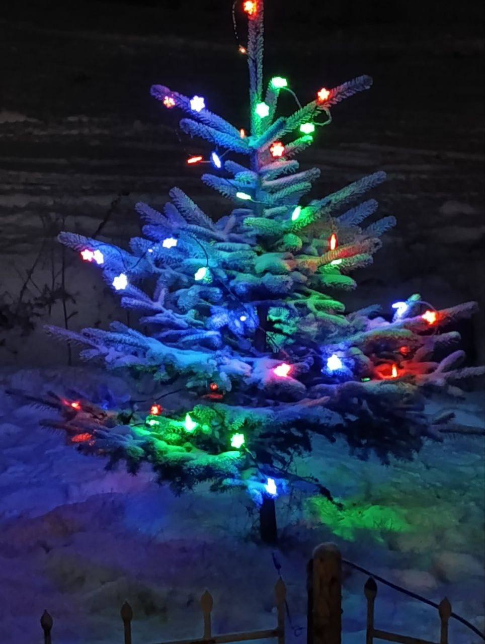 От мала до велика: тюменцы поделились елочками, которые уже стоят украшенные в ожидании праздника От мала до велика: тюменцы поделились елочками, которые уже стоят украшенные в ожидании праздника