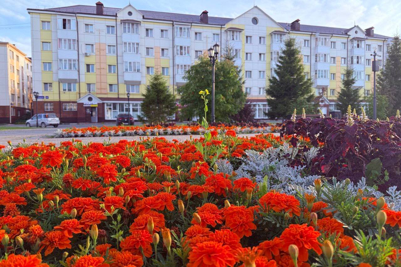 Тобольск ждет масштабное озеленение в 2026 году Тобольск ждет масштабное озеленение в 2026 году