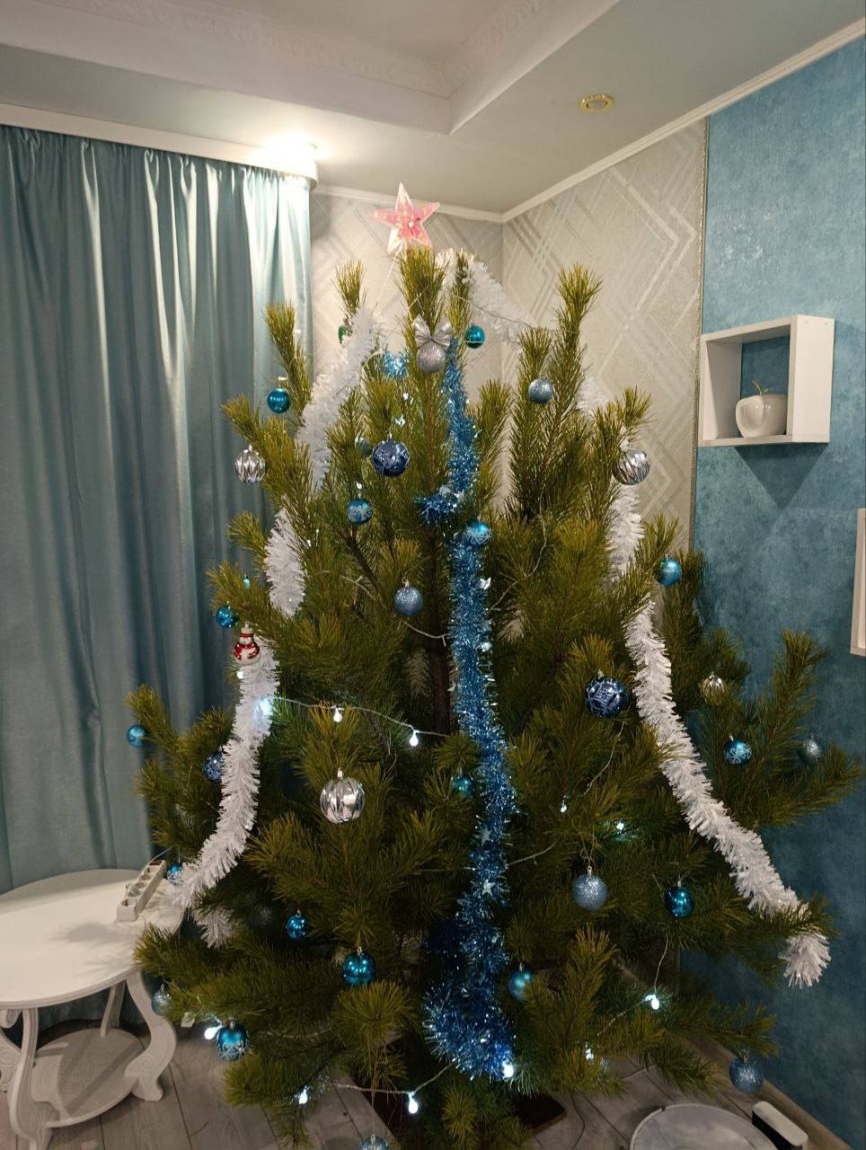 От мала до велика: тюменцы поделились елочками, которые уже стоят украшенные в ожидании праздника От мала до велика: тюменцы поделились елочками, которые уже стоят украшенные в ожидании праздника