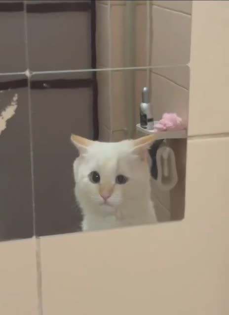 ���������: �������. ���������, �������� �� �� ������ ����������