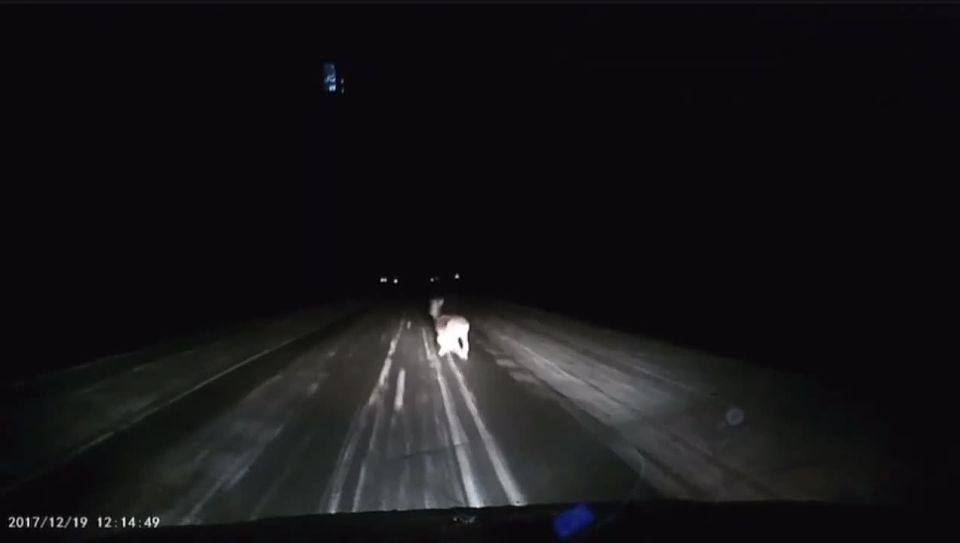 �� ������� ������ � ���! ������� ������ ���� ����� �����������, ����� �� ������ ��������� ������