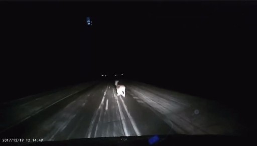 �� ������� ������ � ���! ������� ������ ���� ����� �����������, ����� �� ������ ��������� ������