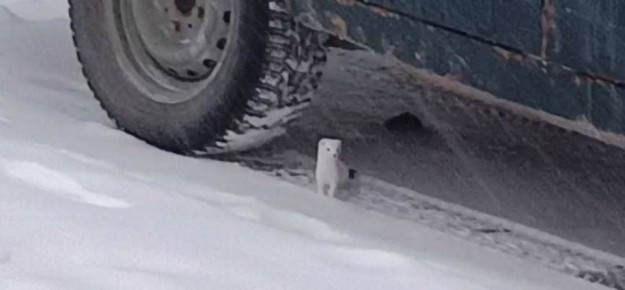 ������������ ��������� � ����� � ����� ��������� ��������