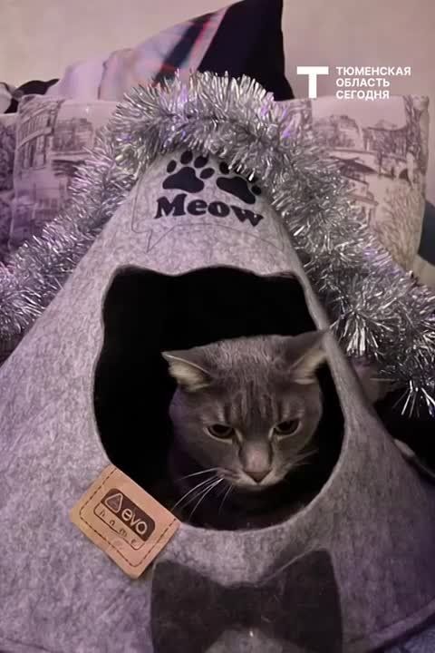 ������� ������ �� 20 �������