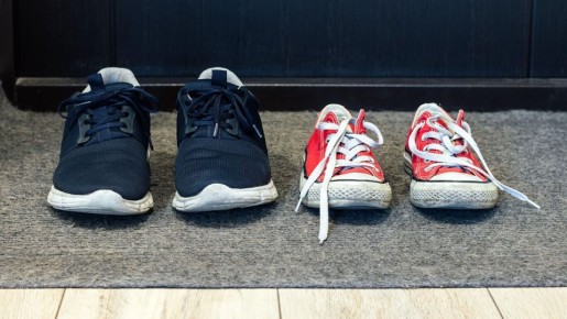 ���������� ����������: ��� ��������, ������������� � ��������� ������