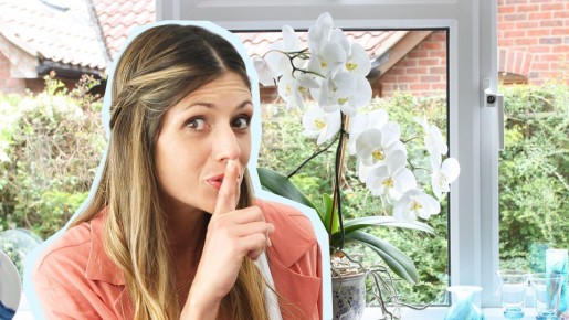 ������� ������ ������� �������� �������: �� ����� ����� �� �����