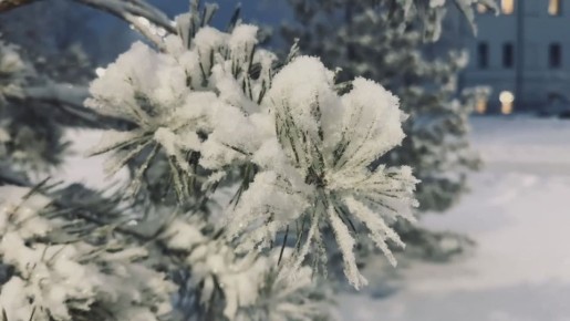 �������� �� ������������ ��������������� ��������� ��� �������� ������ ������� ������������