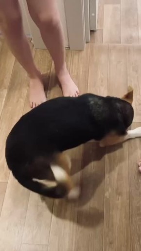 ������, ����� ����� ������� ������ ����������, ��� ���������� ��������� ����