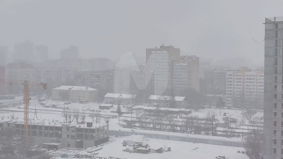 ������ �����������. ����������