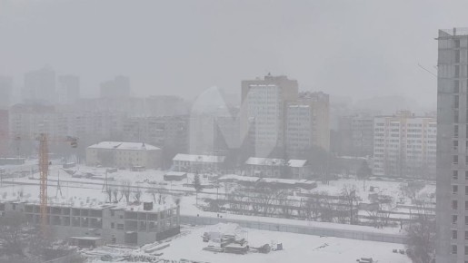 ������ �����������. ����������