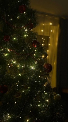 �� ���������� ���� ����� ��������� � ������ � ����������� �� �����������