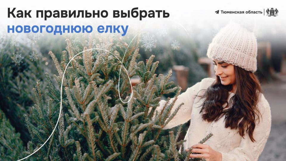 ����� ����� ����� ����� ����!