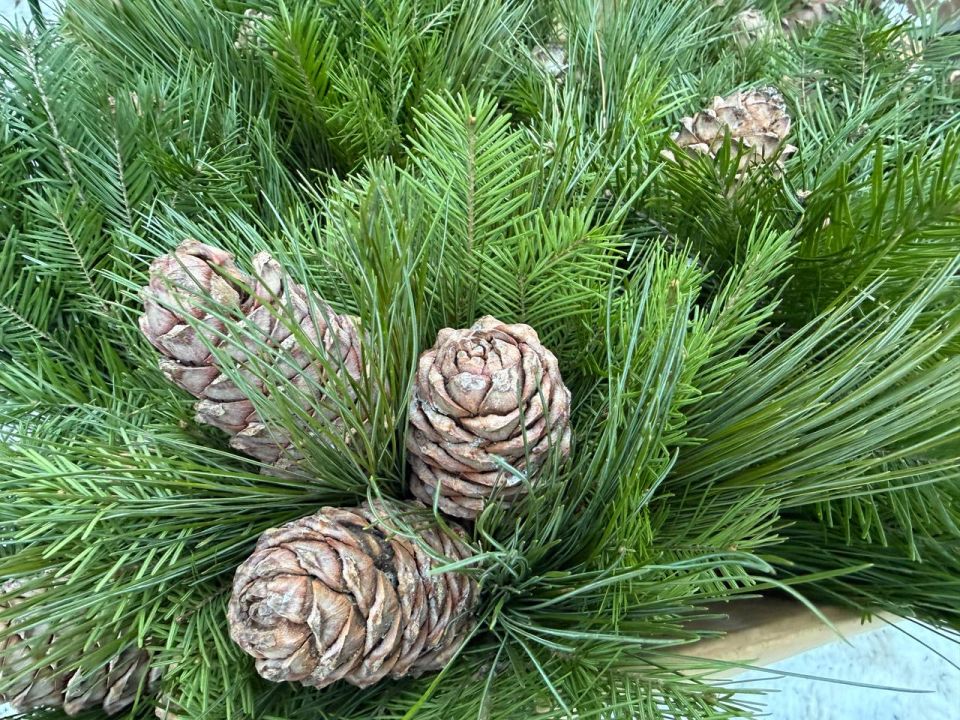 � ������� � ������ ������� ����������������� �������!