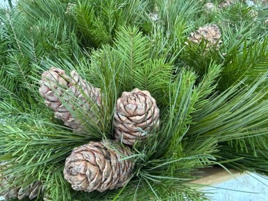 � ������� � ������ ������� ����������������� �������!