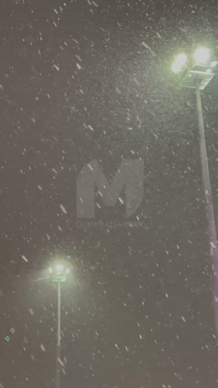 �������� ������ ������. ����������