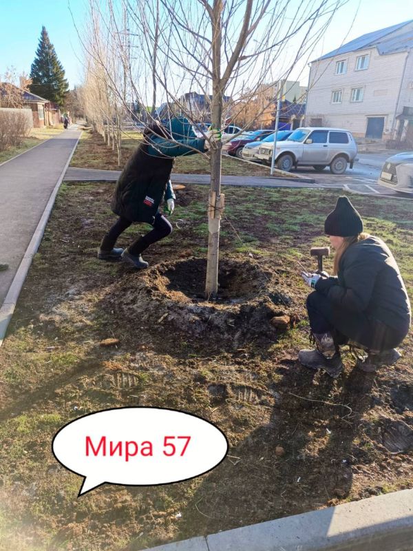 ����� ����� ������ ���� ������!