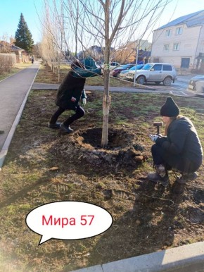 ����� ����� ������ ���� ������!