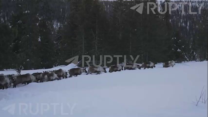 ������ ���������� ����: Ruptly ������� ������� ������� ����������� �������� �������� ��������� � ���� � ��� ������������ �������� � �������� ����������� ����