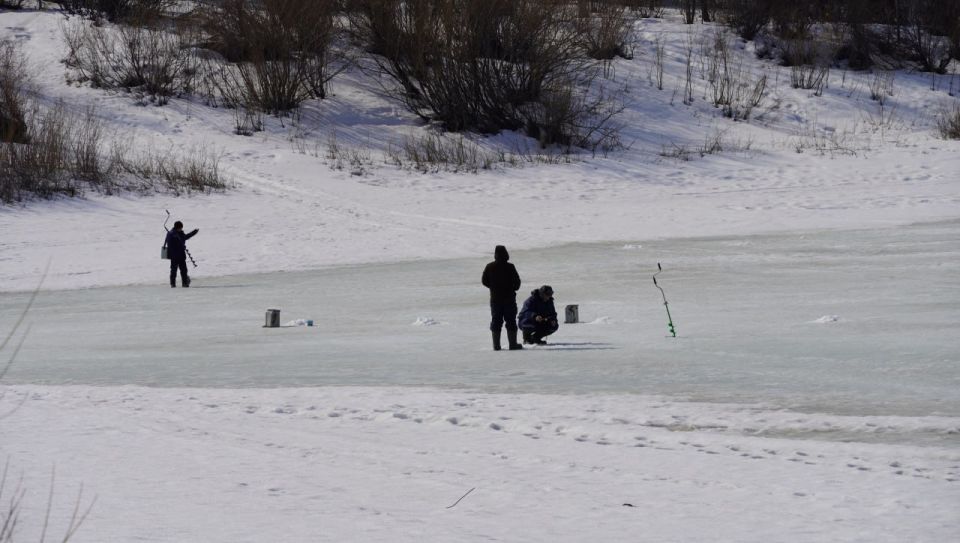 ������ ������ ������� ����