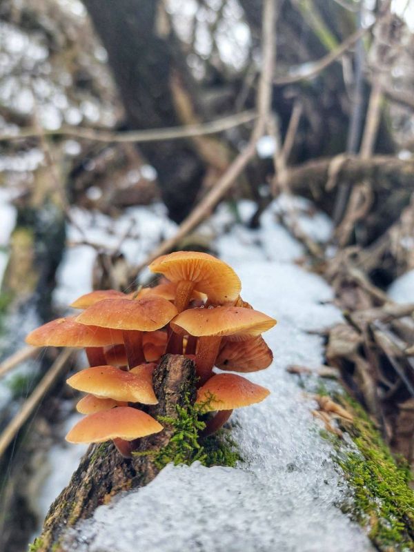 ������� � ������ ��������� ������ � ��������� ������� ������� ���������� ������� ������ ����� �����