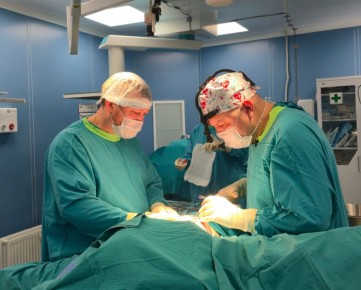 �������� ������ ���������� ������� �� ������������ ����