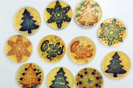 ����������� ������������ ������� ���������� �������� �� ��������