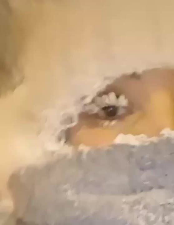 ���� �� ������� ��-�� -30�, � ������ �������� � -56�