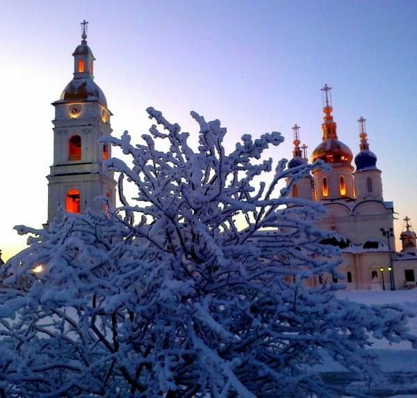 ������ 20 ��� � ������ ������� ���������� ������ �� �������������� ��������-����������� �������� � ��������� ����������� ���������, �������������� ����������� ������ ���������� �������, ��� ��������� ����������� �...